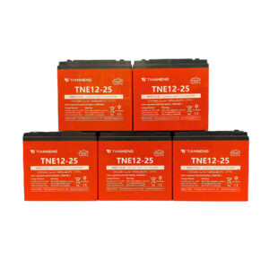 Bộ ắc quy xe máy điện Thiên Năng 60V 25Ah