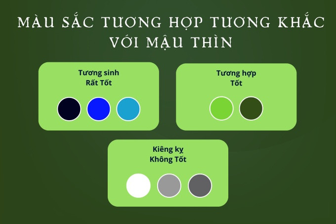 Màu sắc xe hơi phù hợp với Mậu Thìn