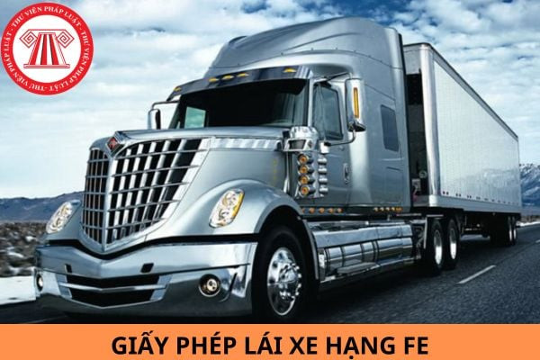 Một người phụ nữ đang cầm và xem xét giấy phép lái xe hạng FE, minh họa khả năng bằng FE chạy được xe gì trên đường.