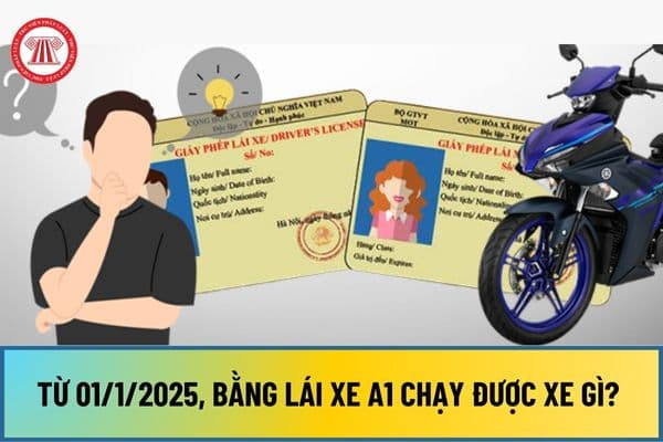 Quy Định Về Bằng Lái A1 Chạy Được Xe Gì Từ 2025