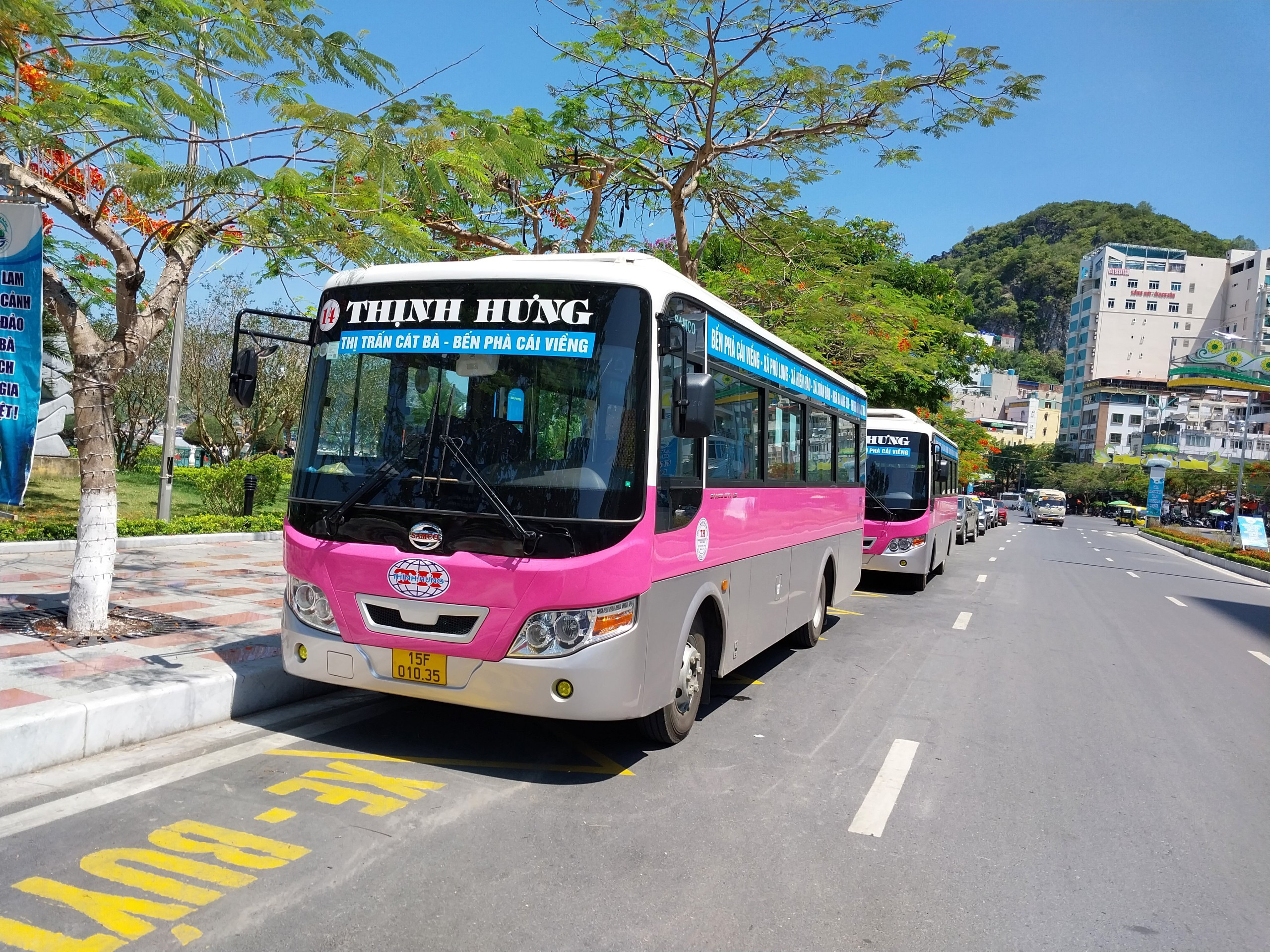 Xe buýt màu vàng của hãng Thịnh Hưng chạy trên đường ở Hải Phòng