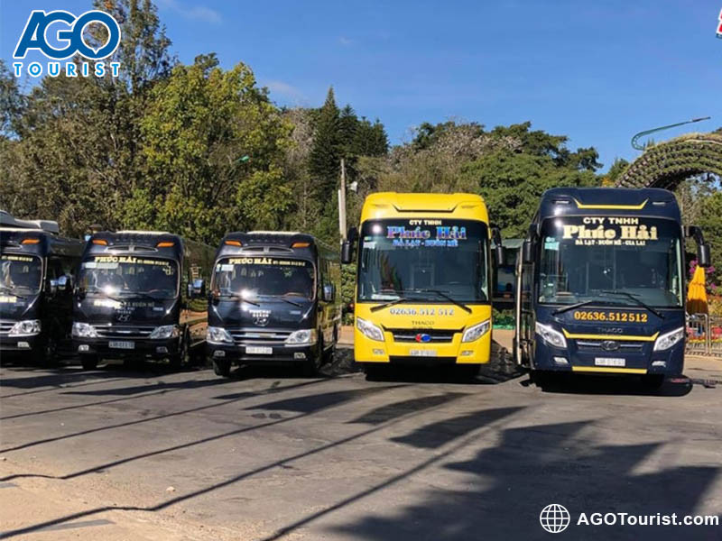Kinh Nghiệm Lựa Chọn **Xe Gia Lai Đà Lạt** Tiết Kiệm, An Toàn xe khách Phúc Hải trên tuyến Pleiku Gia Lai đi Đà Lạt