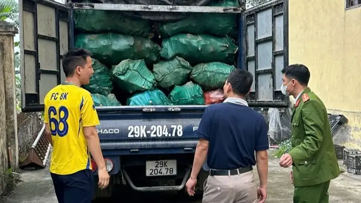 Top 10 Mẫu Xe Tải Nên Mua Năm 2025: Đánh Giá Chi Tiết Từ Chuyên Gia Top 10 Mẫu Xe Tải Nên Mua Năm 2025: Đánh Giá Chi Tiết Từ Chuyên Gia