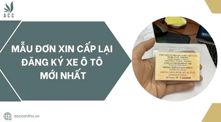 Hướng Dẫn Chi Tiết Lập Công Văn Xin Cấp Lại Đăng Ký Xe Ô Tô Hướng Dẫn Chi Tiết Lập Công Văn Xin Cấp Lại Đăng Ký Xe Ô Tô