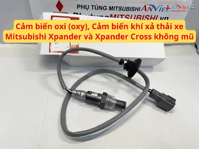 Đo Nồng Độ Khí Xả Xe Ô Tô: Quy Trình Chuẩn Và Những Điều Bạn Cần Biết Đo Nồng Độ Khí Xả Xe Ô Tô: Quy Trình Chuẩn Và Những Điều Bạn Cần Biết