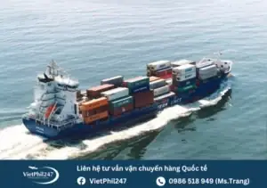 Feeder Trên Xe Ô Tô Là Gì? Khám Phá Vai Trò Quan Trọng Của Bộ Phận Này
