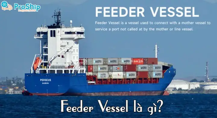 Feeder Trên Xe Ô Tô Là Gì? Khám Phá Vai Trò Quan Trọng Của Bộ Phận Này
