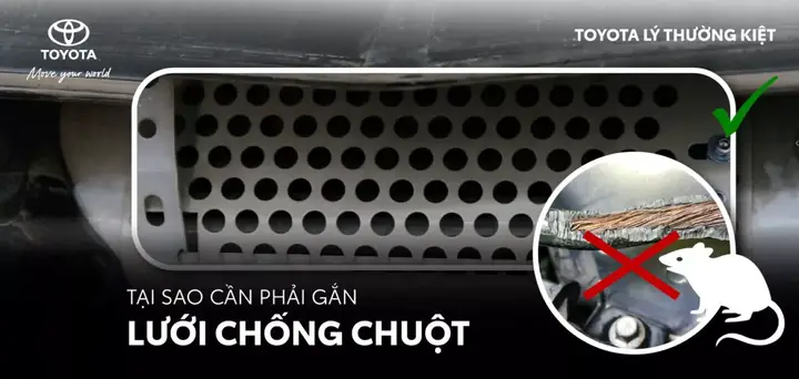 Đánh Giá Chi Tiết Các Giải Pháp Chống Chuột Cắn Xe Ô Tô: Top 5 Phương Pháp Hiệu Quả Nhất Hiện Nay Đánh Giá Chi Tiết Các Giải Pháp Chống Chuột Cắn Xe Ô Tô: Top 5 Phương Pháp Hiệu Quả Nhất Hiện Nay