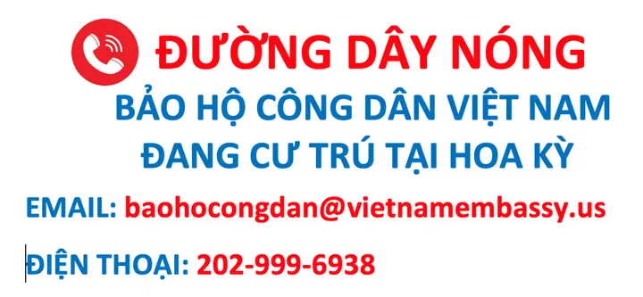 Giấy Ủy Quyền Nhập Xe Ô Tô Cho Việt Kiều: Hướng Dẫn Chi Tiết Từ A-z Giấy Ủy Quyền Nhập Xe Ô Tô Cho Việt Kiều: Hướng Dẫn Chi Tiết Từ A-z