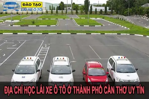 Học Lái Xe Ô Tô Cần Thơ Chấn Thính: Quy Trình Chi Tiết Từ A-z Cho Người Mới Bắt Đầu