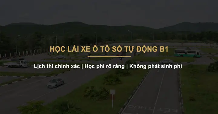 Top 8 Trung Tâm Dạy Lái Xe Ô Tô Số Tự Động Tại Tp.hcm Uy Tín Nhất 2026