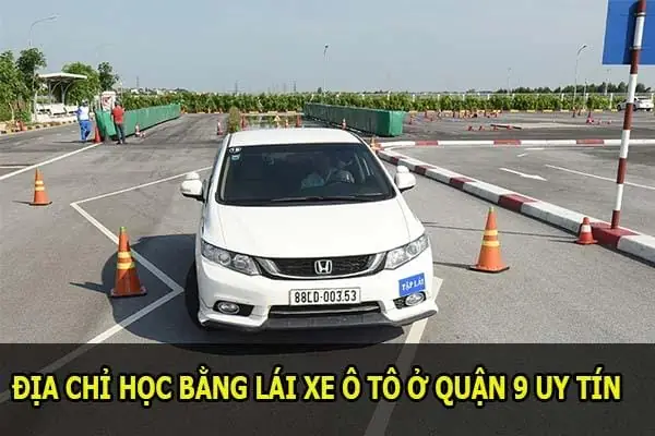 Top 5 Khu Bãi Xe Ô Tô Cũ Quận 9 Uy Tín, Giá Tốt Nhất Năm 2026 Top 5 Khu Bãi Xe Ô Tô Cũ Quận 9 Uy Tín, Giá Tốt Nhất Năm 2026
