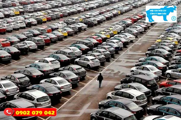 Kinh Nghiệm Gửi Xe Ô Tô: Những Điều Cần Biết Để Bảo Vệ "xế Cưng" An Toàn