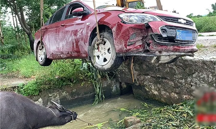 Phân Tích Nguyên Nhân Và Bài Học Từ Vụ Tai Nạn Ô Tô Prado Lao Xuống Xe Civic