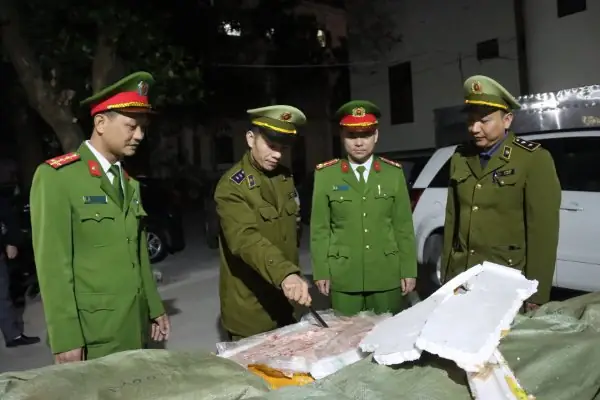 Quy Trình Xử Lý Xe Ô Tô Nhập Lậu: Các Bước Và Biện Pháp Từ Cơ Quan Chức Năng